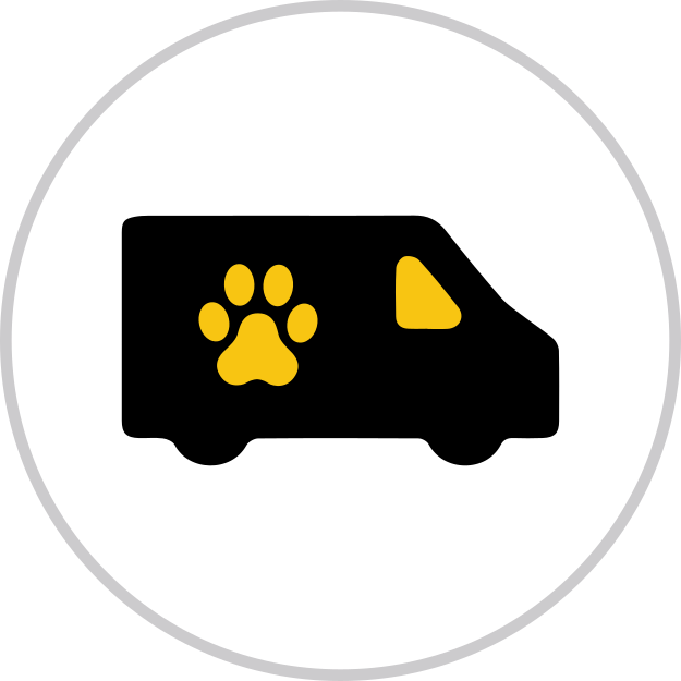 My Buddy Pet Care Best pet care in Dubai